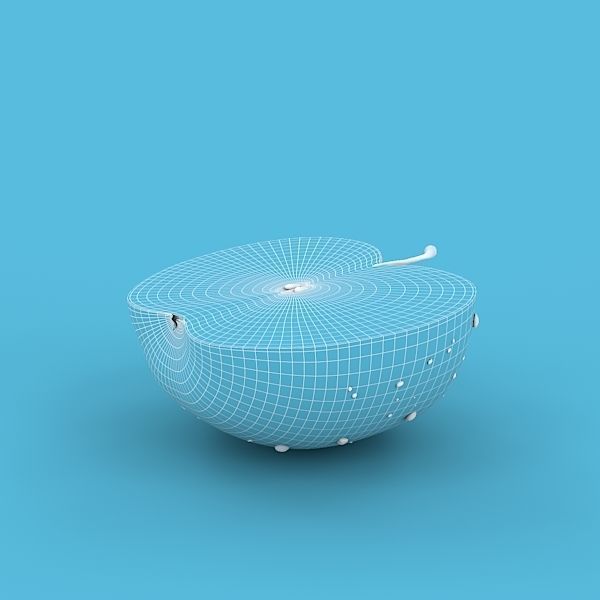 Red Apple Half 3D model_4