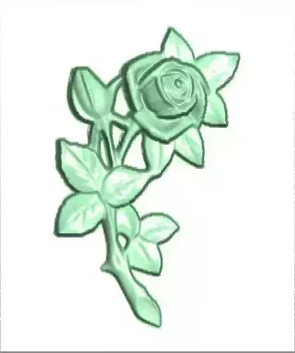 Flower rose