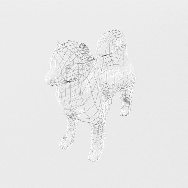 Samoyed White Low-poly 3D model_4