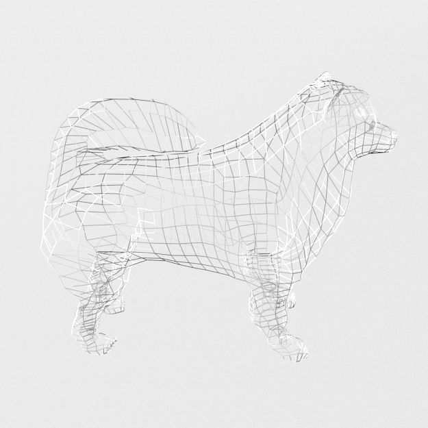 Samoyed White Low-poly 3D model_7