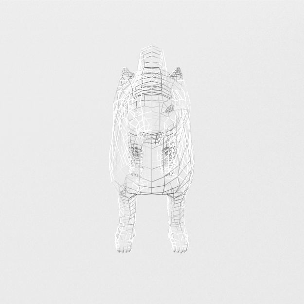 Samoyed White Low-poly 3D model_6
