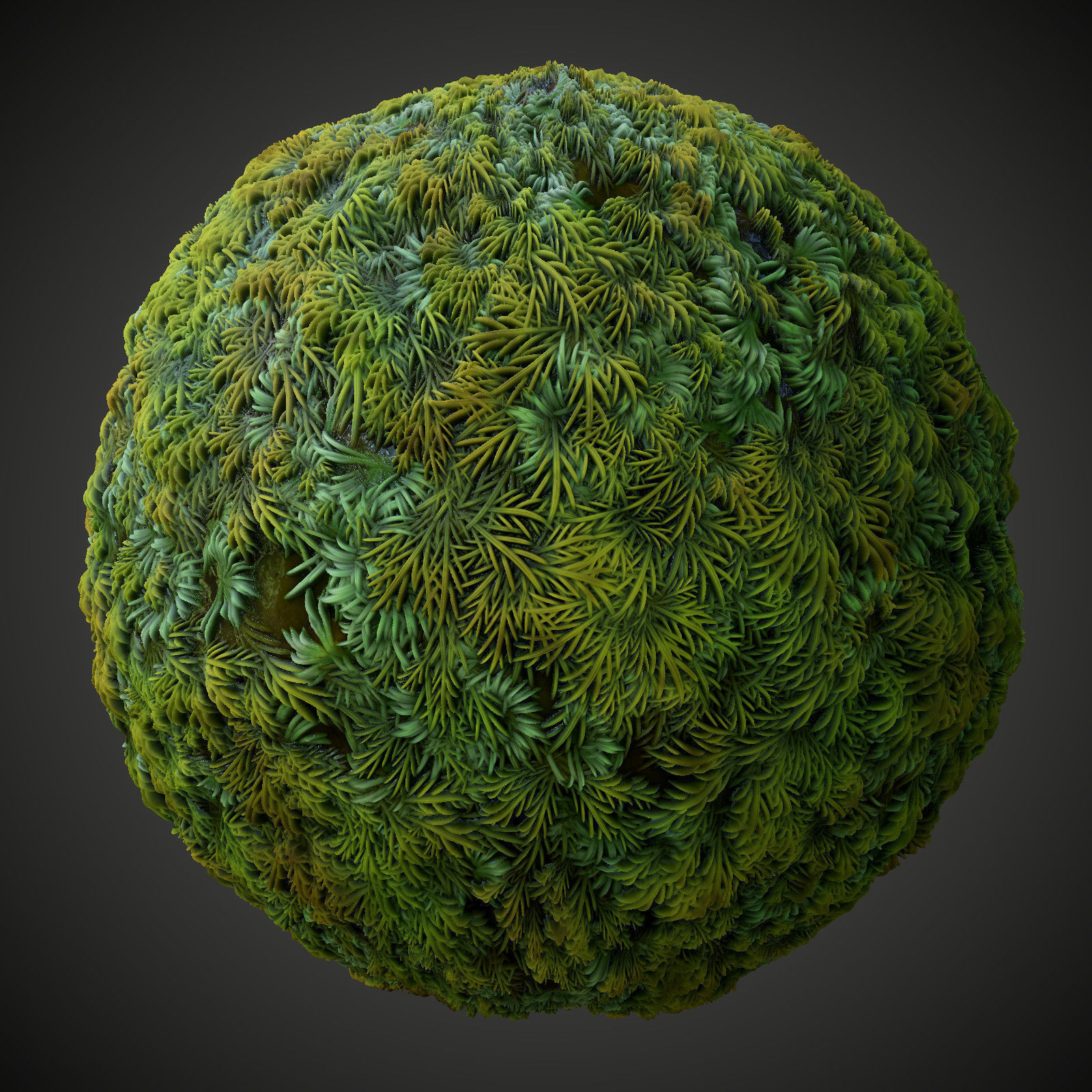 Stylized Forest Bog Materials Texture_5
