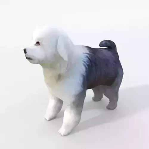 Old English Sheepdog Low-poly 3D model
