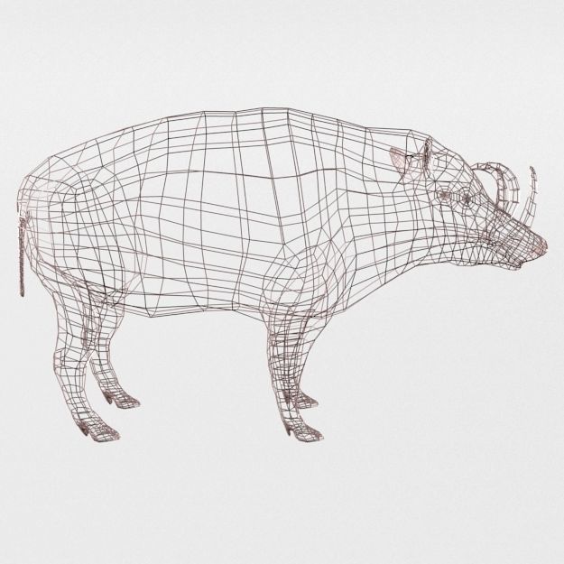Babirusa warthog Low-poly 3D model_7