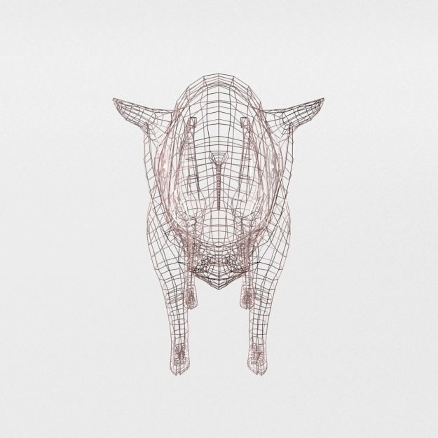 Babirusa warthog Low-poly 3D model_6