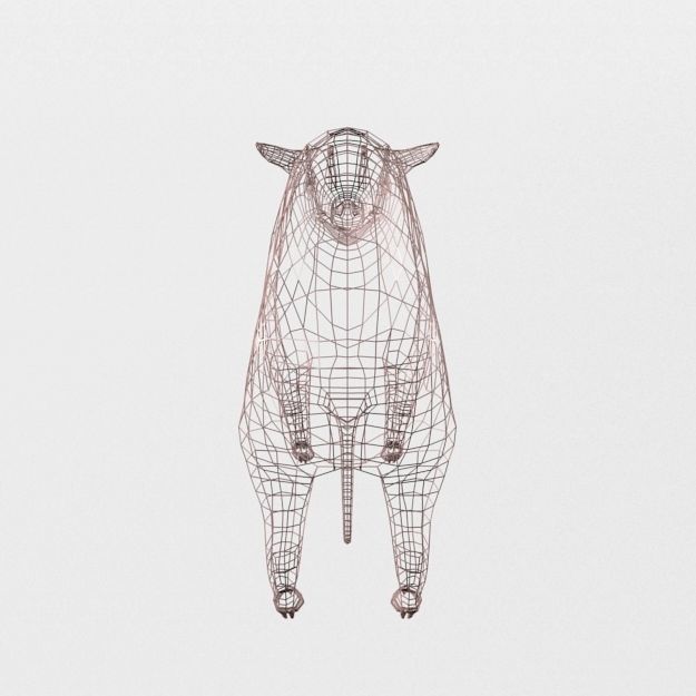 Babirusa warthog Low-poly 3D model_5