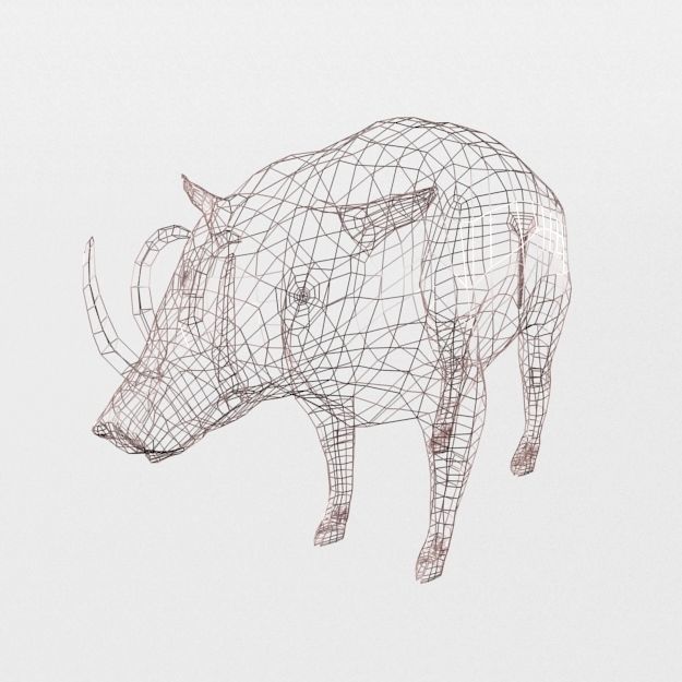 Babirusa warthog Low-poly 3D model_4