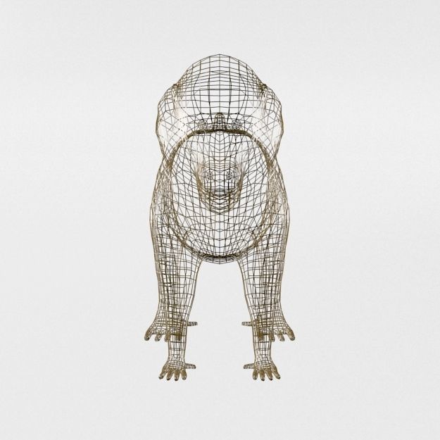 Mandrill rhinoceros Low-poly 3D model_6