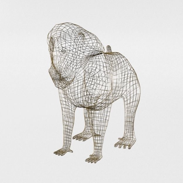 Mandrill rhinoceros Low-poly 3D model_4