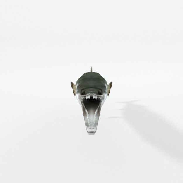 Needle Fish Low-poly 3D model_2