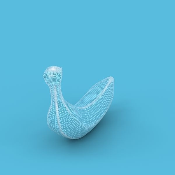 Banana 3D model_12