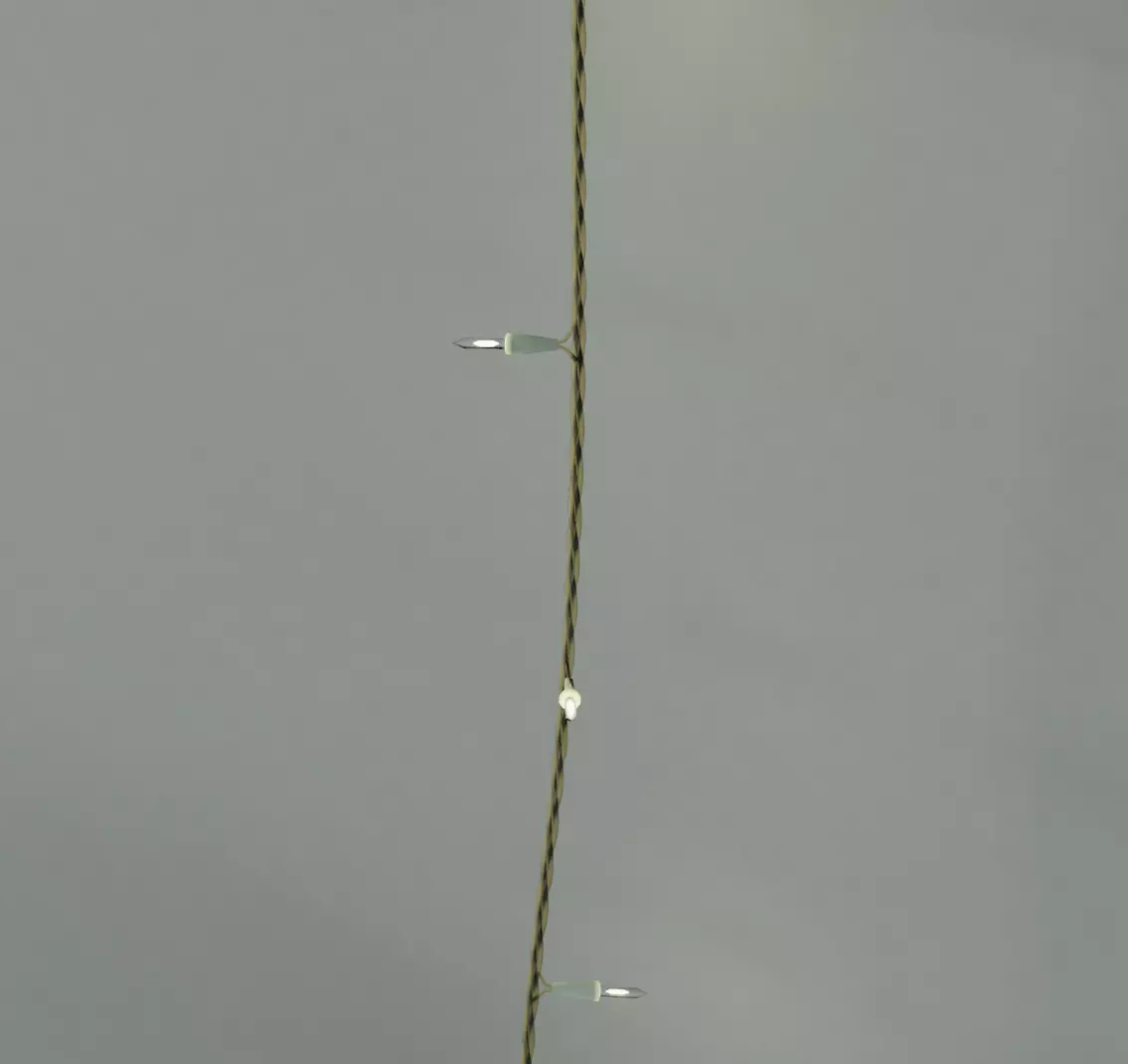 Fairy Lights Free 3D model