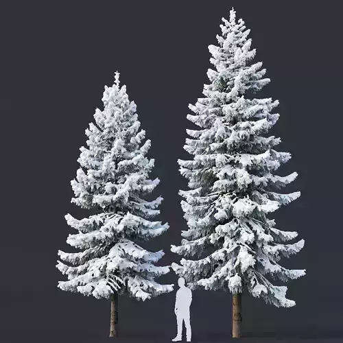 Spruce Nr 6 Two sizes H8-10m Modular branches 3D model