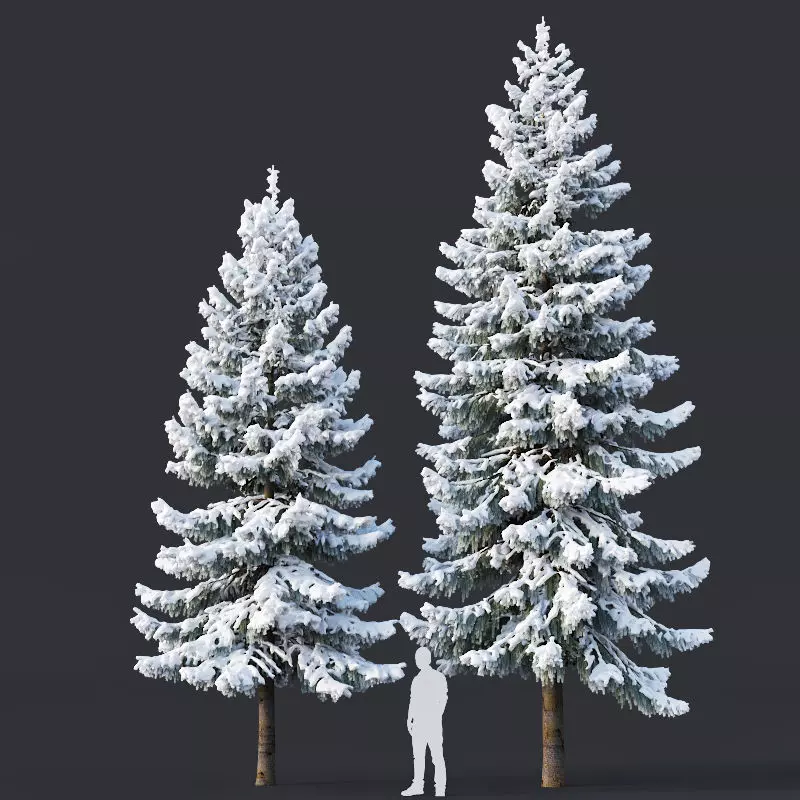 Spruce Nr 6 Two sizes H8-10m Modular branches 3D model_0