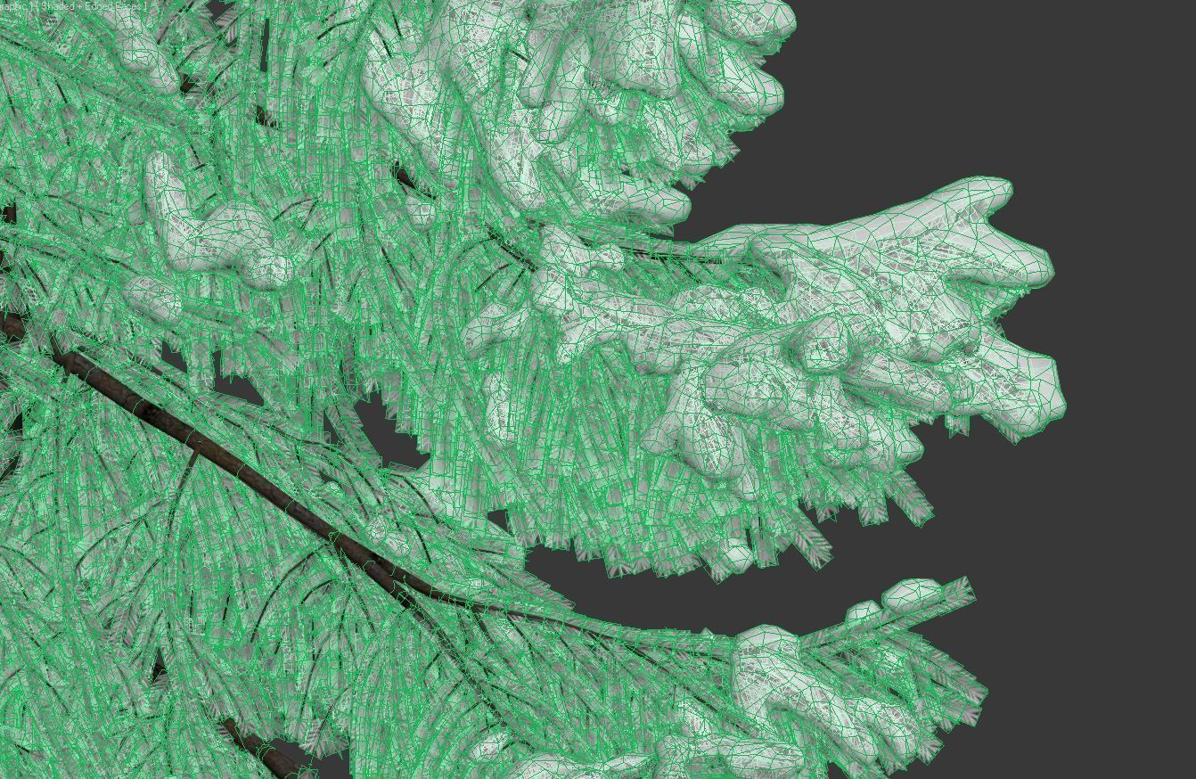 Spruce Nr 6 Two sizes H8-10m Modular branches 3D model_4