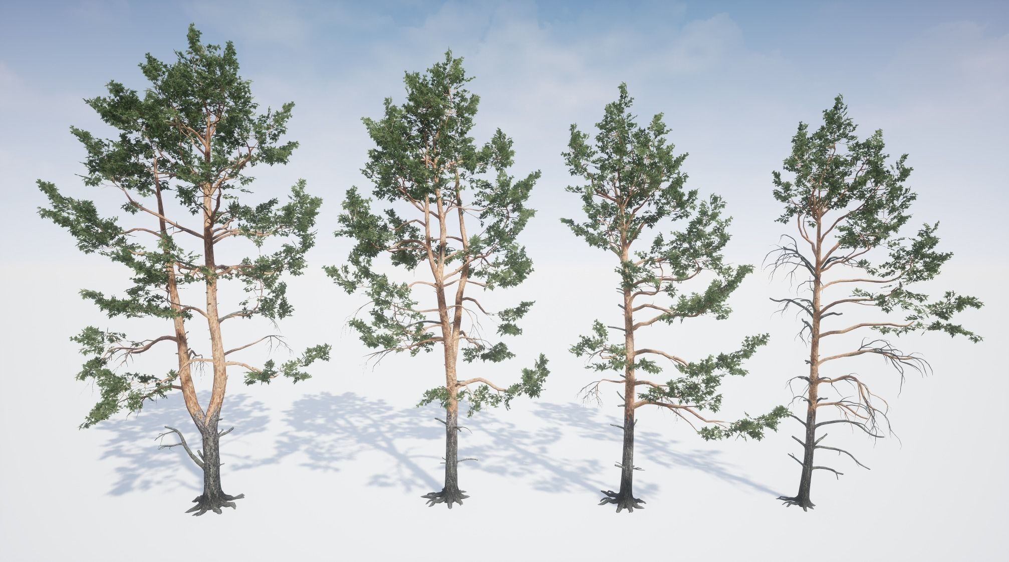 Realistic Pine Trees Pack for games Low-poly 3D model_10