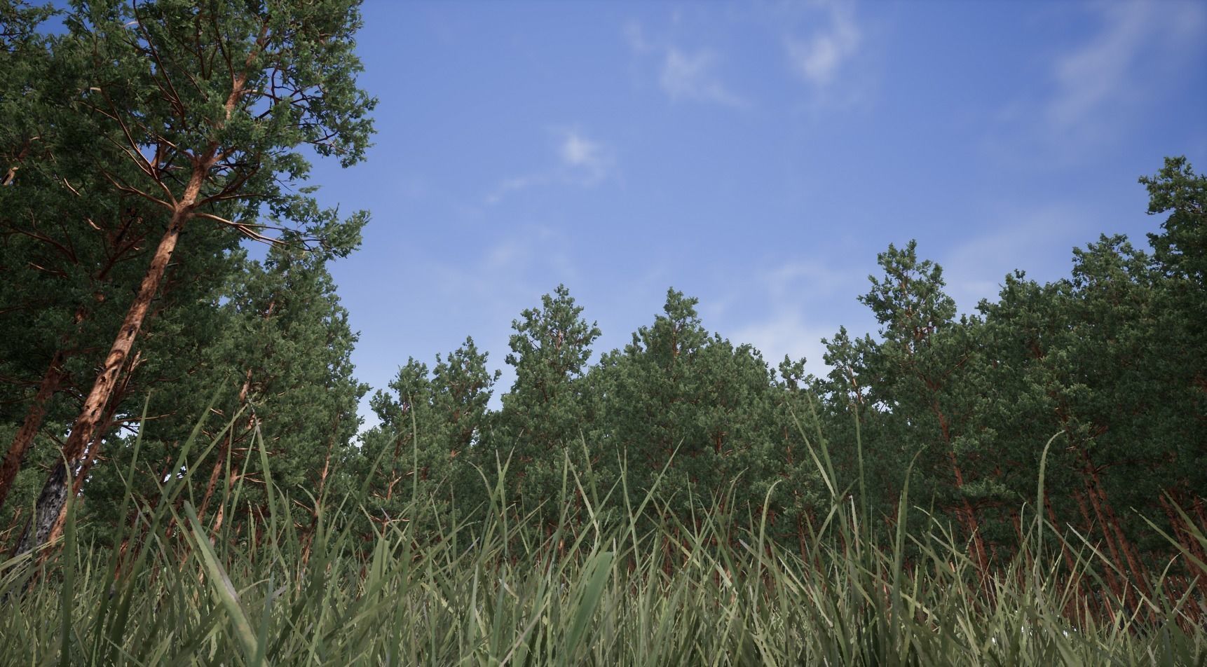 Realistic Pine Trees Pack for games Low-poly 3D model_5