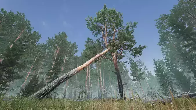 Realistic Pine Trees Pack for games Low-poly 3D model