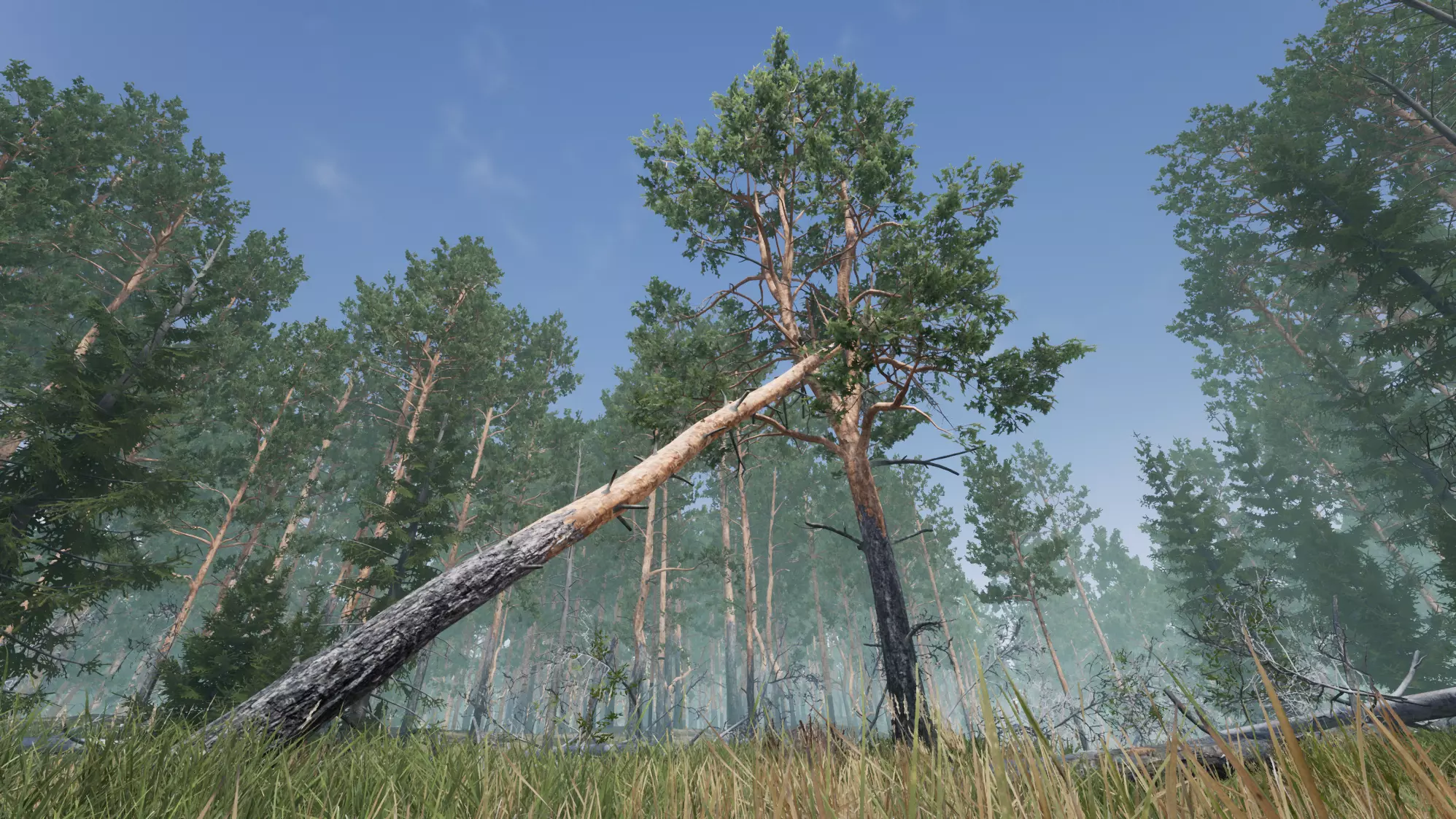 Realistic Pine Trees Pack for games Low-poly 3D model_0