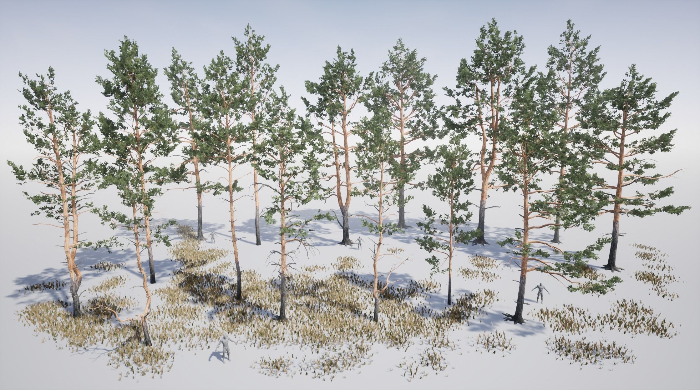 Realistic Pine Trees Pack for games Low-poly 3D model_2