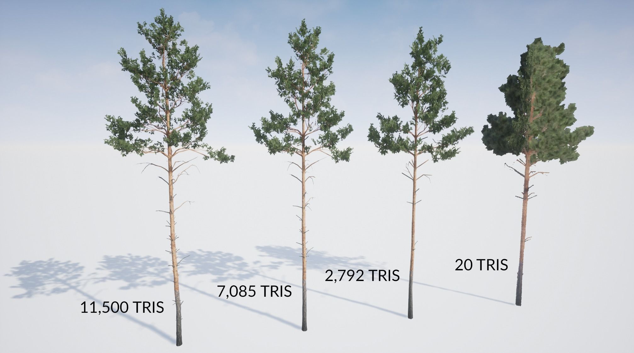 Realistic Pine Trees Pack for games Low-poly 3D model_12
