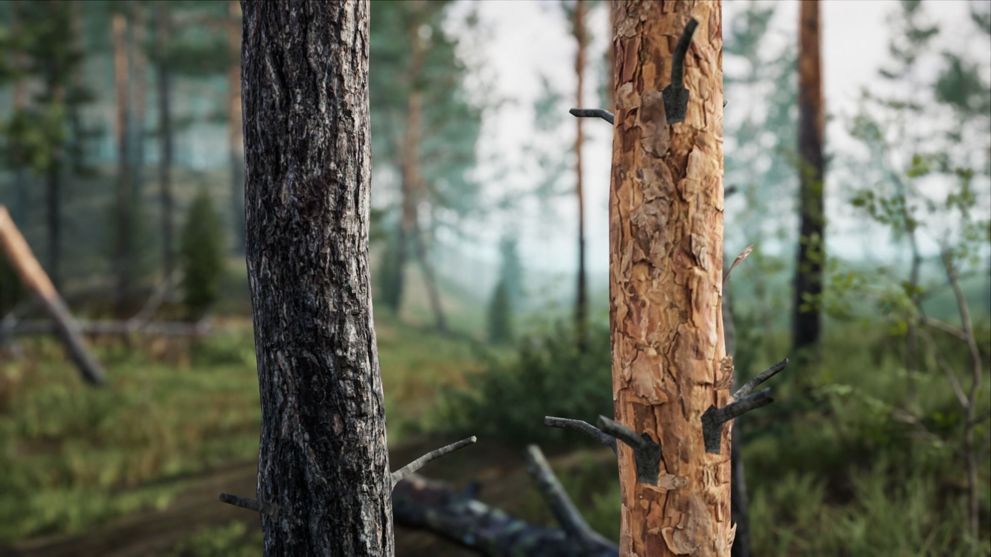 Realistic Pine Trees Pack for games Low-poly 3D model_6