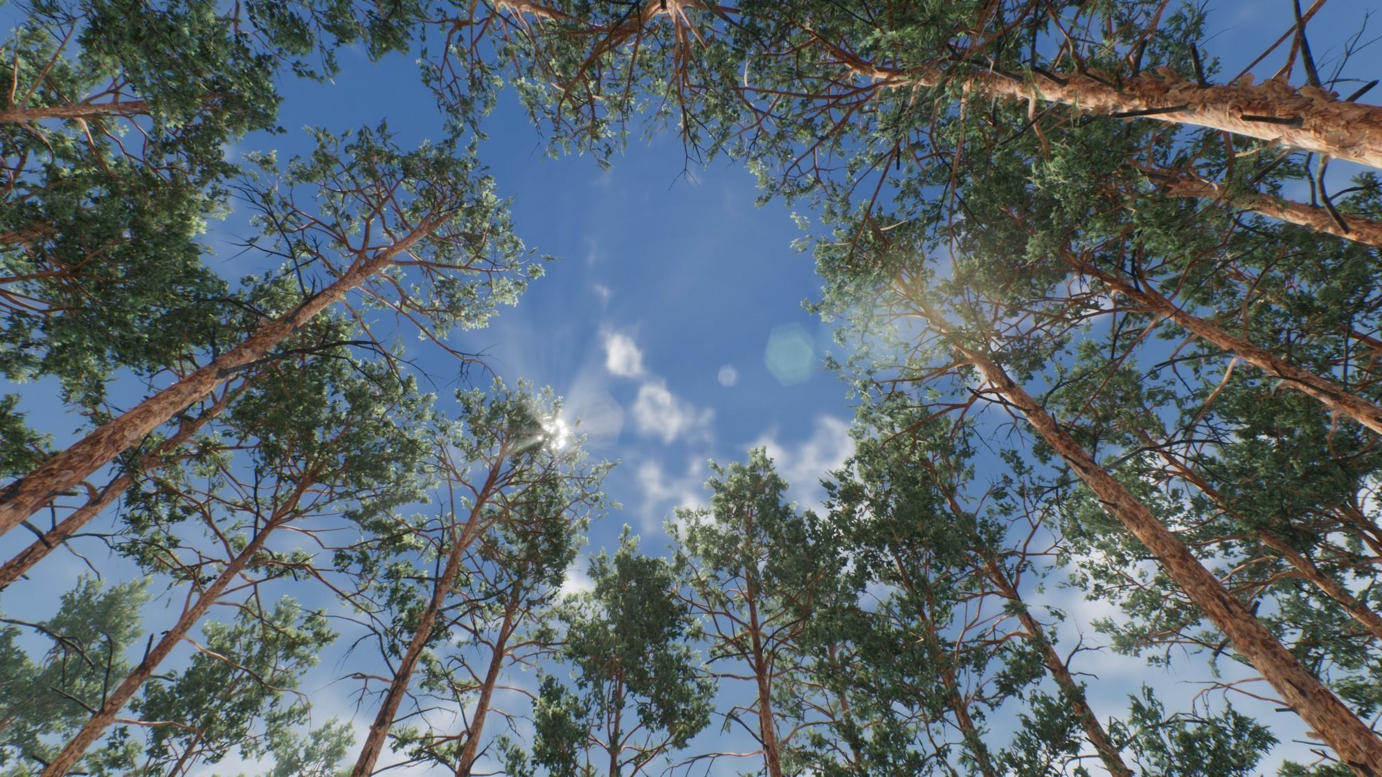 Realistic Pine Trees Pack for games Low-poly 3D model_3