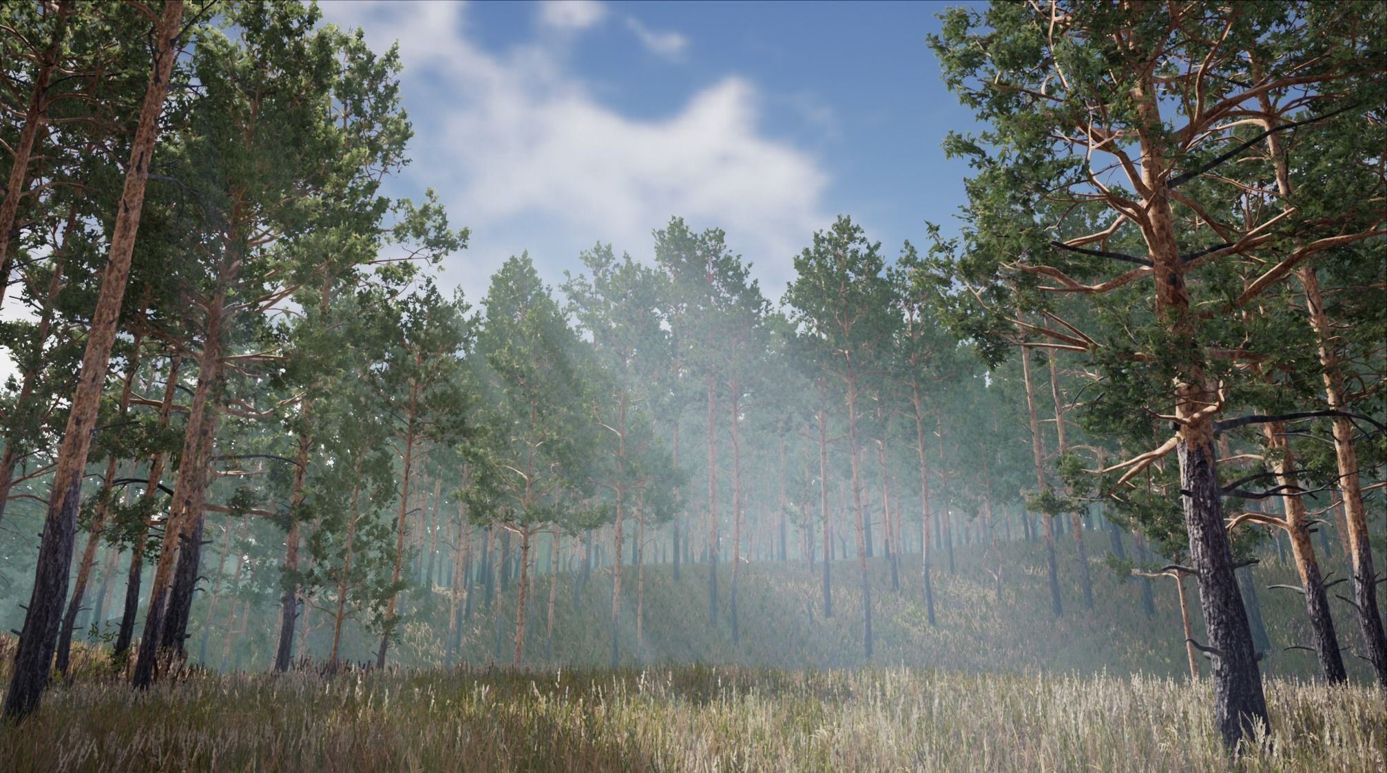 Realistic Pine Trees Pack for games Low-poly 3D model_4