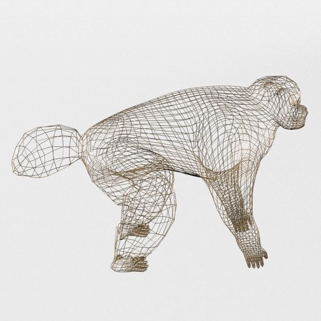 Uakaris monkey Low-poly 3D model_7