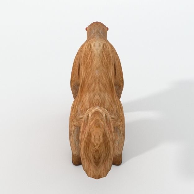 Uakaris monkey Low-poly 3D model_2