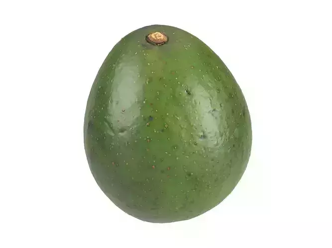 Photorealistic Avocado 3D Scan 3