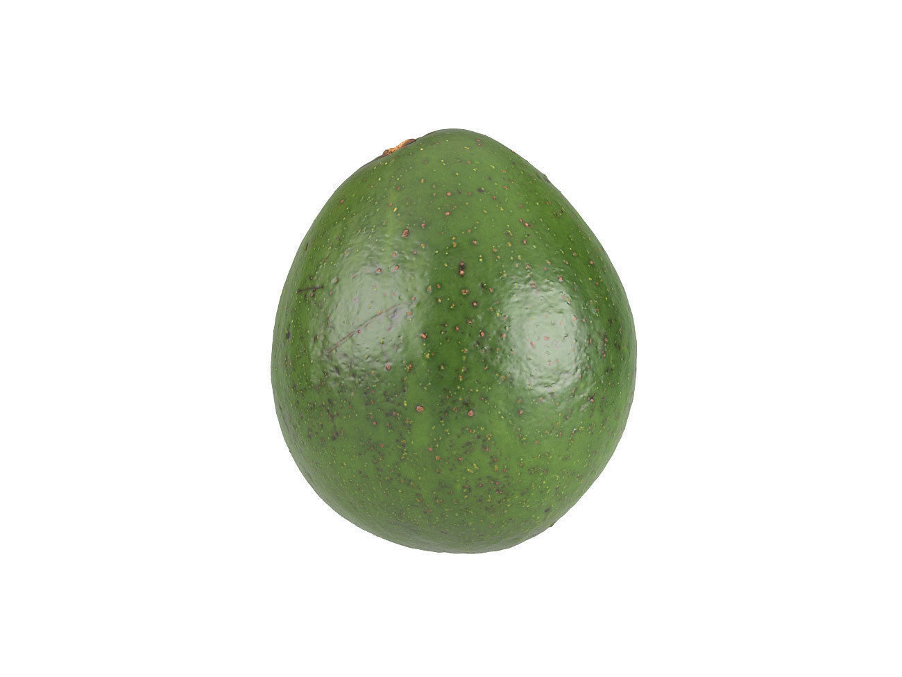 Photorealistic Avocado 3D Scan 3 3D model_2