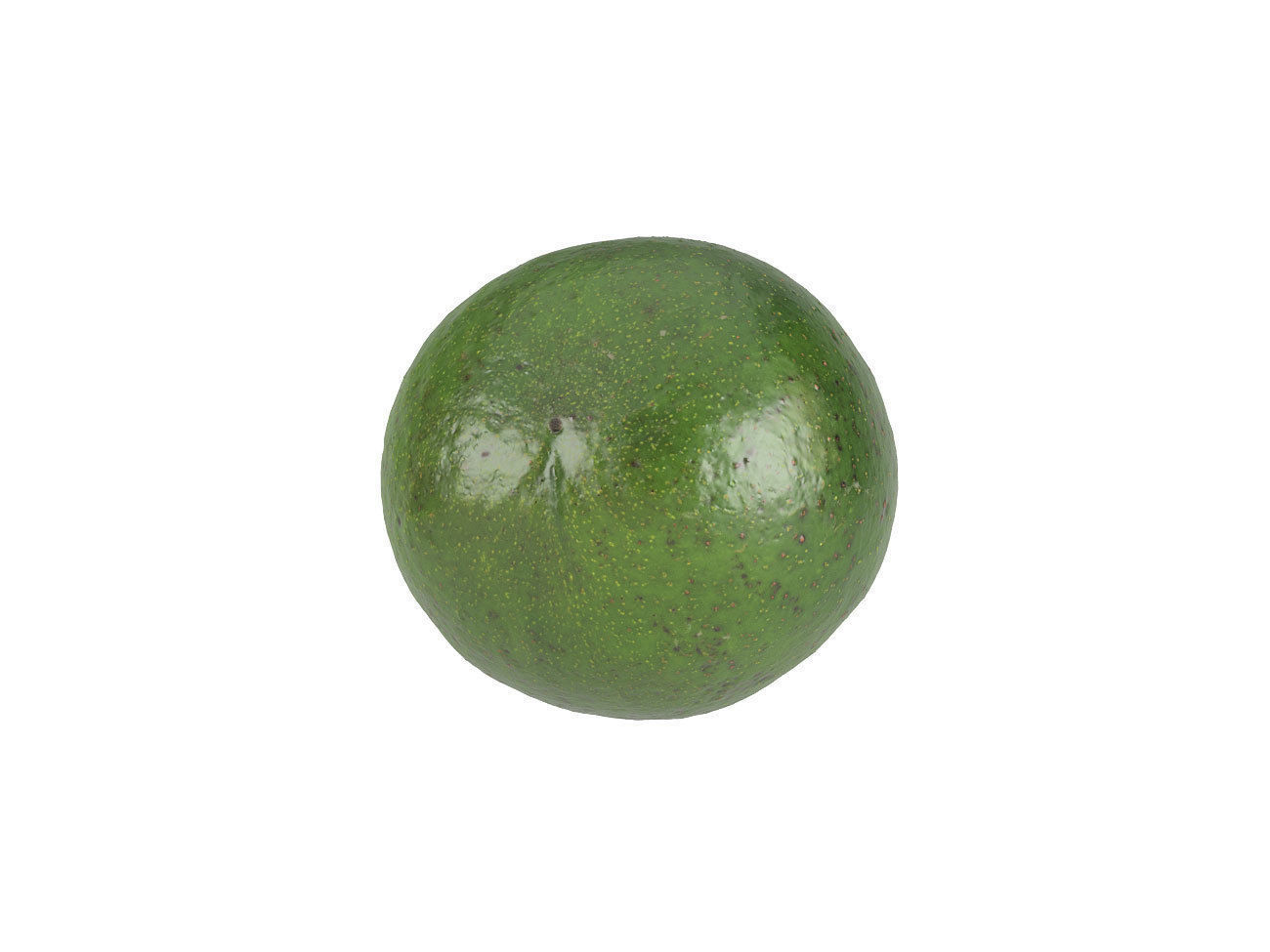 Photorealistic Avocado 3D Scan 3 3D model_5