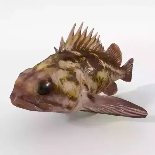 Bottom Fish Low-poly 3D model