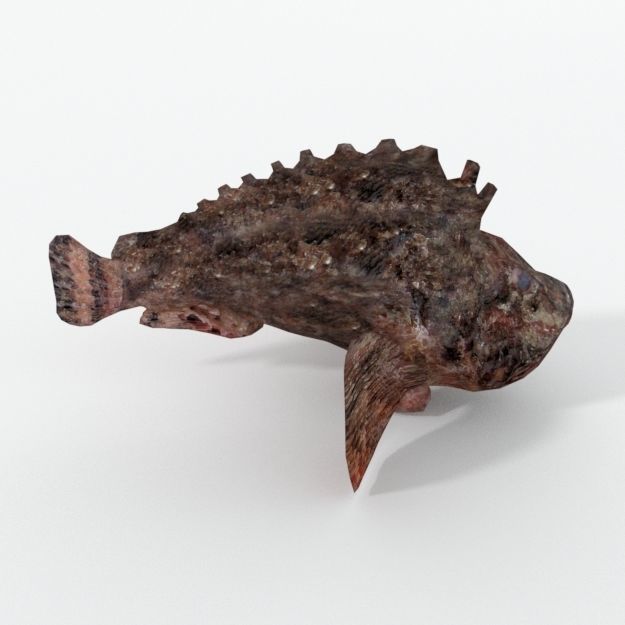 Stone Fish Low-poly 3D model_1