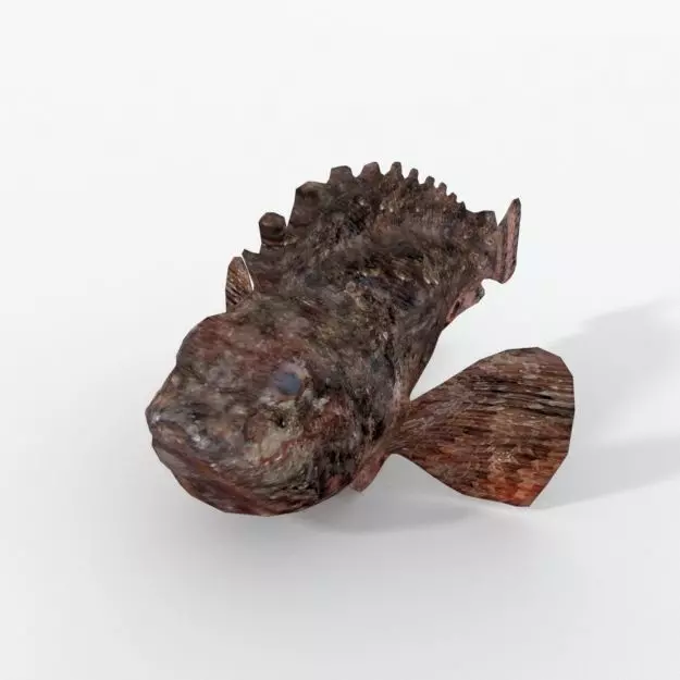 Stone Fish Low-poly 3D model_0