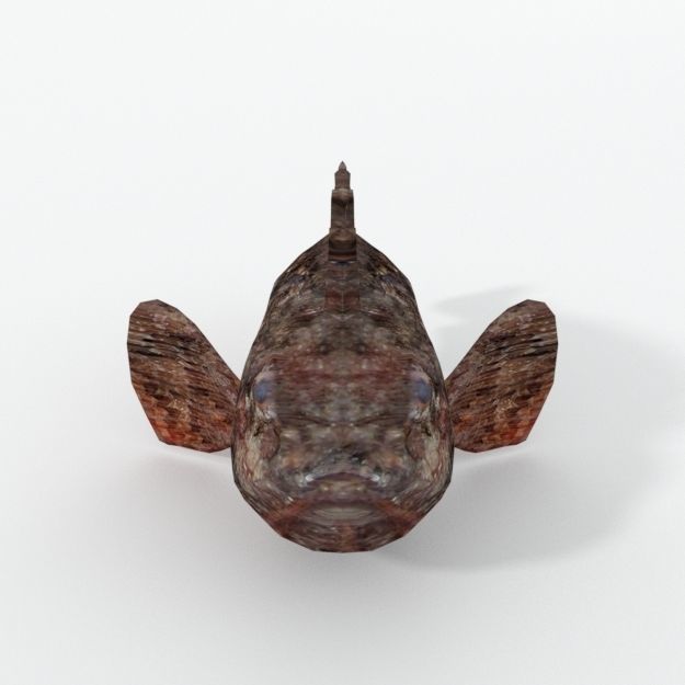 Stone Fish Low-poly 3D model_3