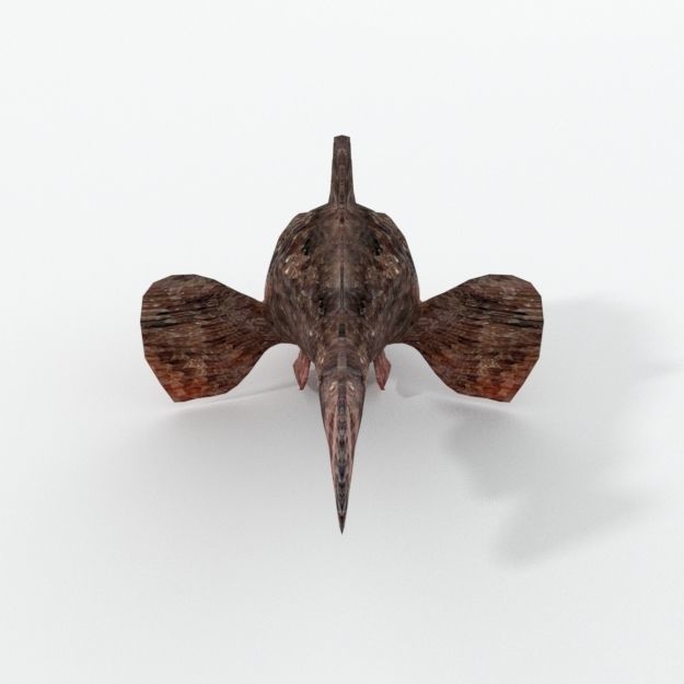 Stone Fish Low-poly 3D model_2