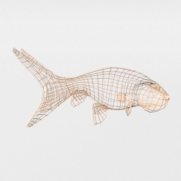 Bubble Eye Fish Low-poly 3D model_7