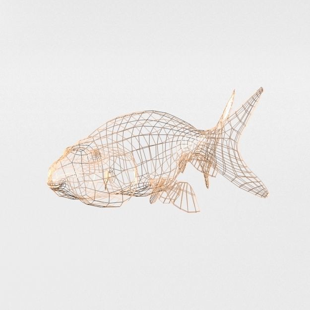 Bubble Eye Fish Low-poly 3D model_4