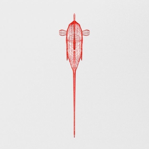 Fish Betta Low-poly 3D model_5