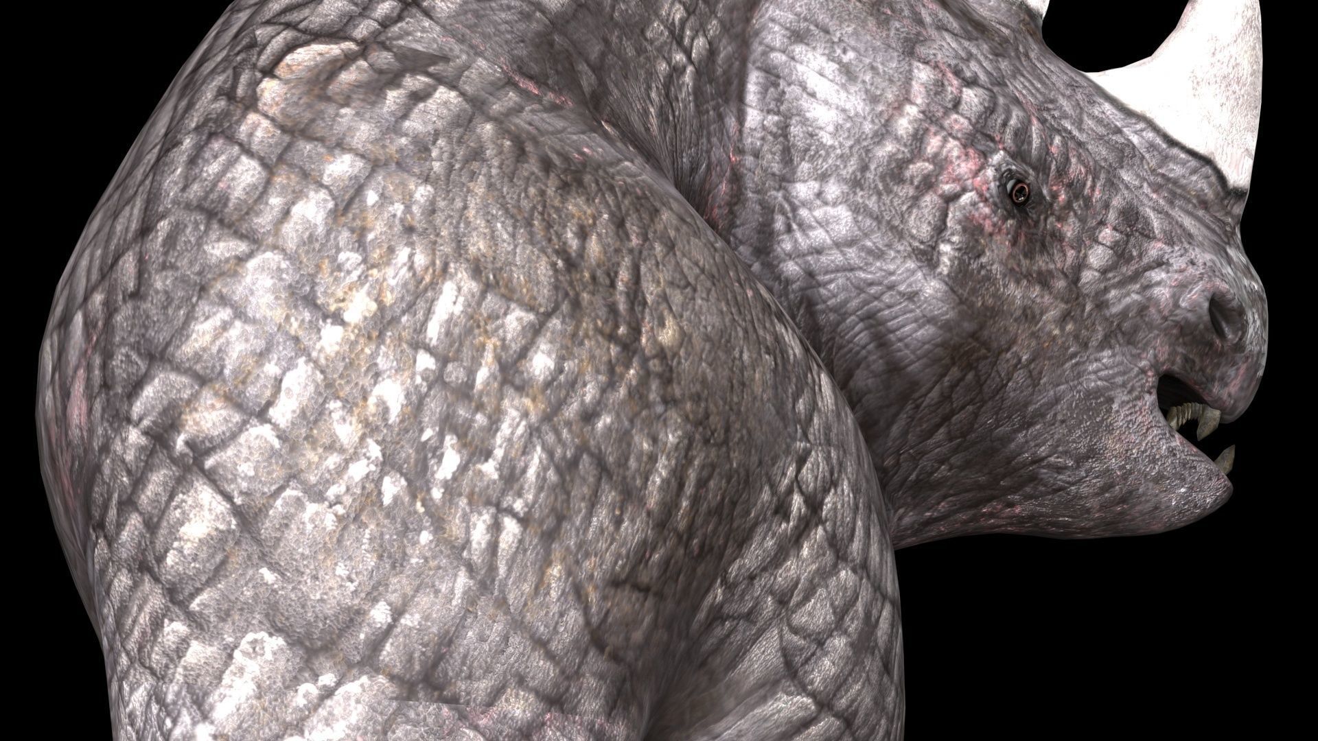 rhino game character  pbr -vr Low-poly 3D model_6