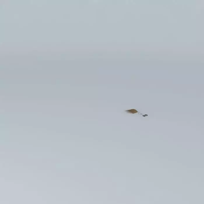 The Bad Pun Racer Free 3D model_0