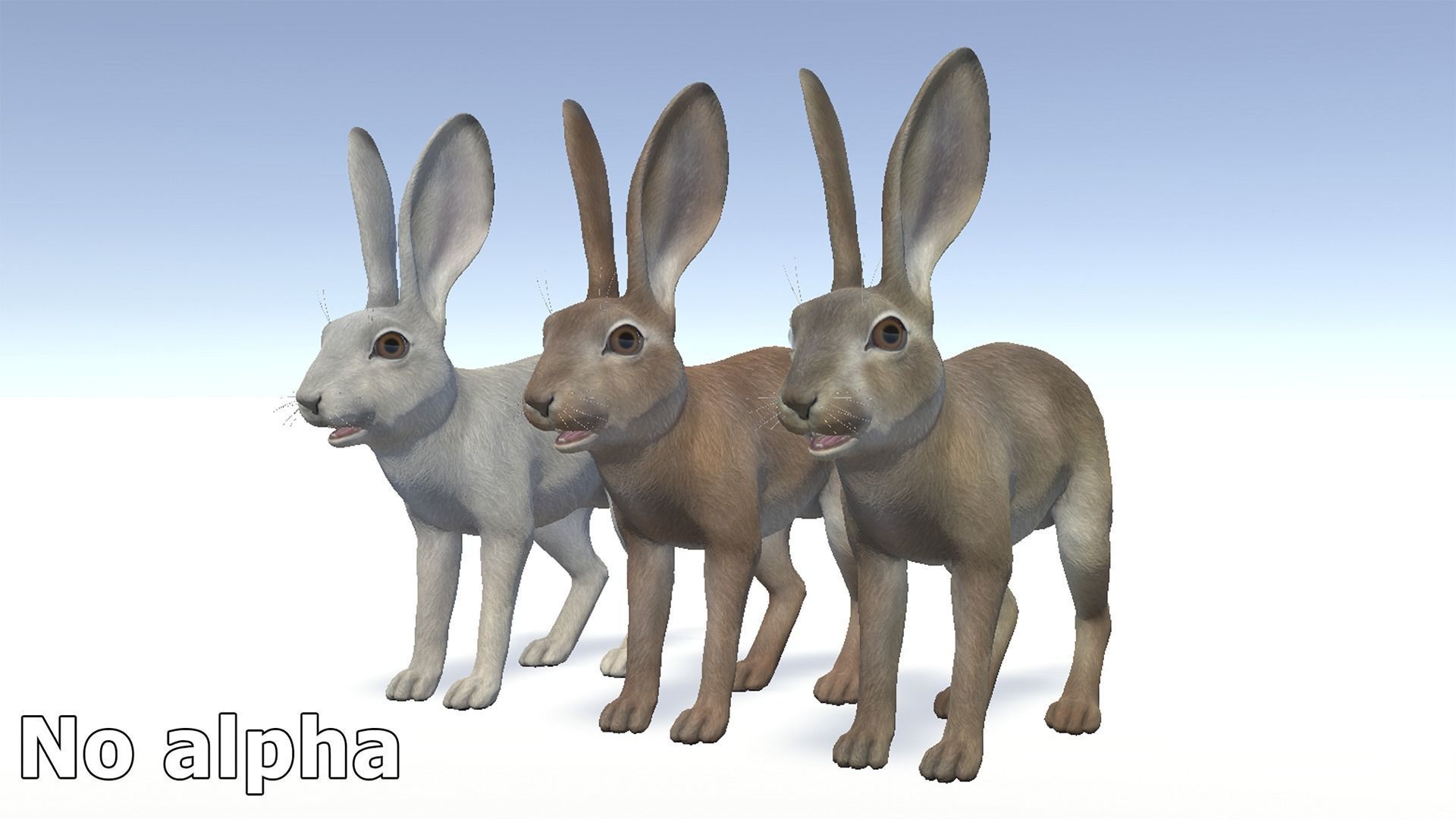 Hare - Young Low-poly 3D model_12