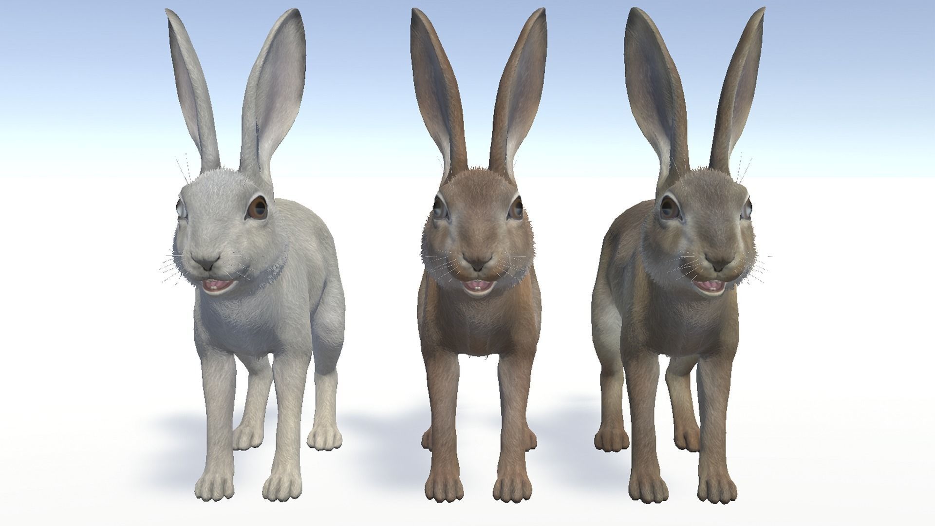 Hare - Young Low-poly 3D model_8