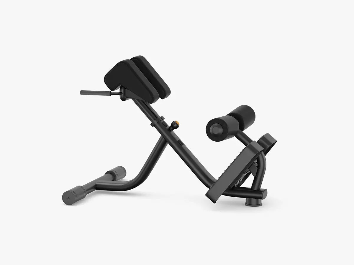 Technogym Element Lower Back Bench 3D model_0