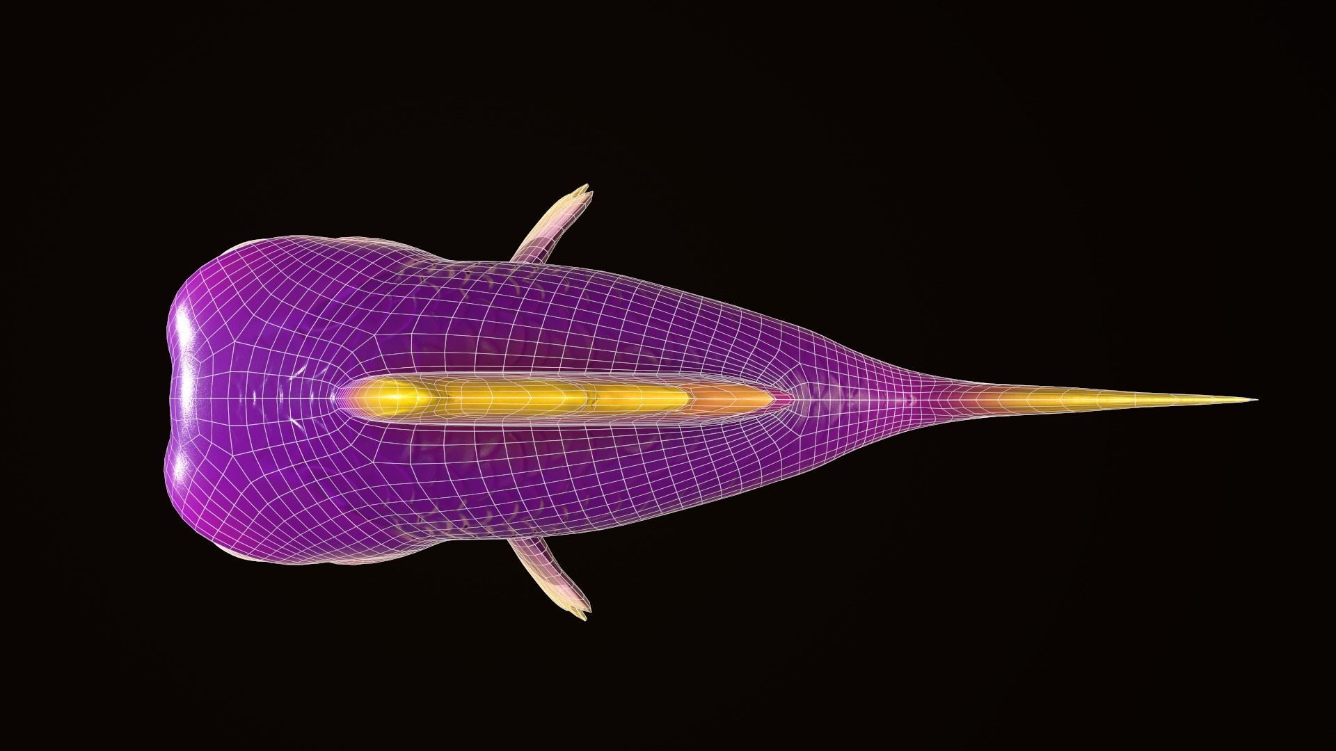 Asset - Cartoons - Animal - Fish 3D model_9