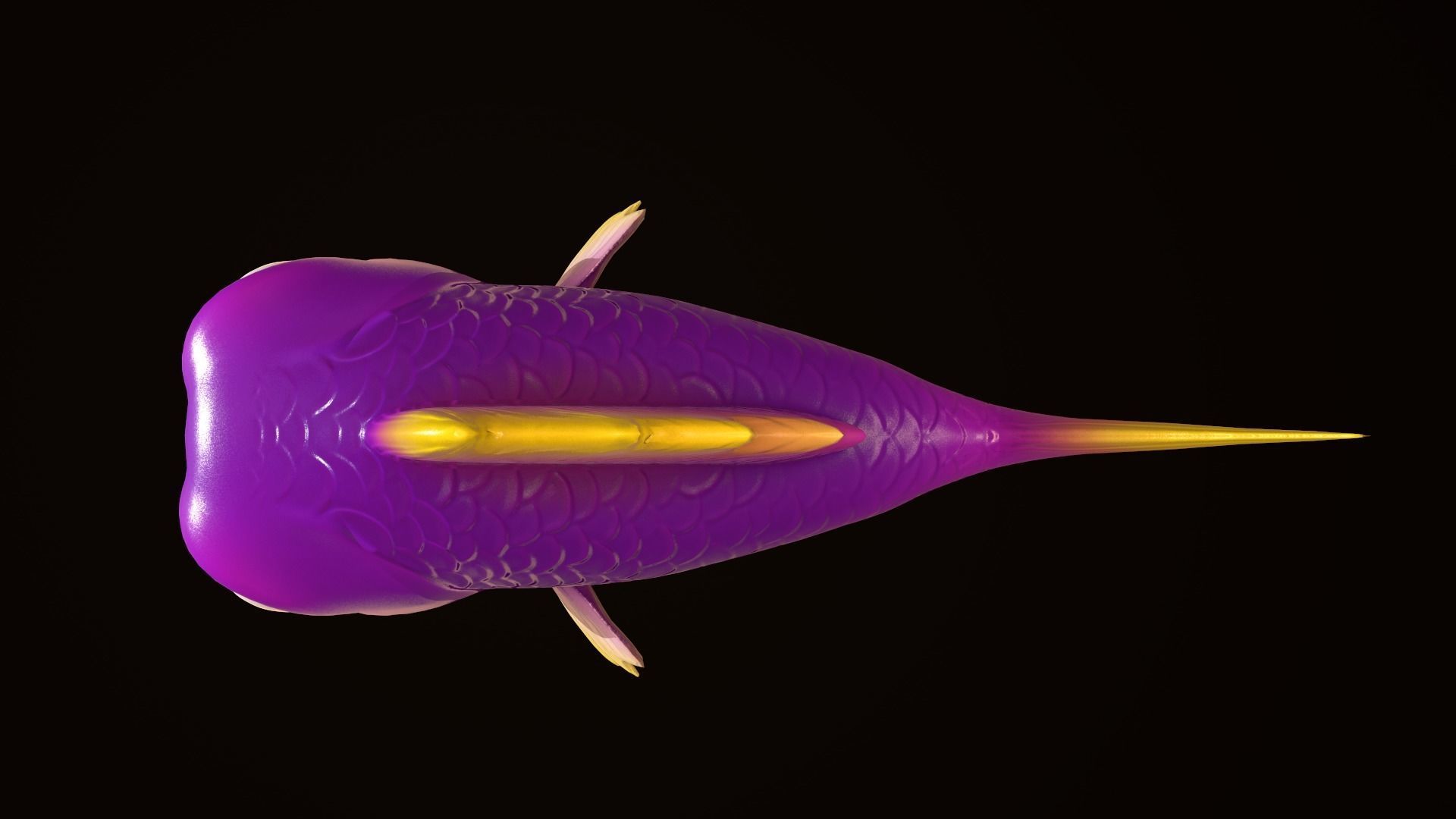 Asset - Cartoons - Animal - Fish 3D model_5