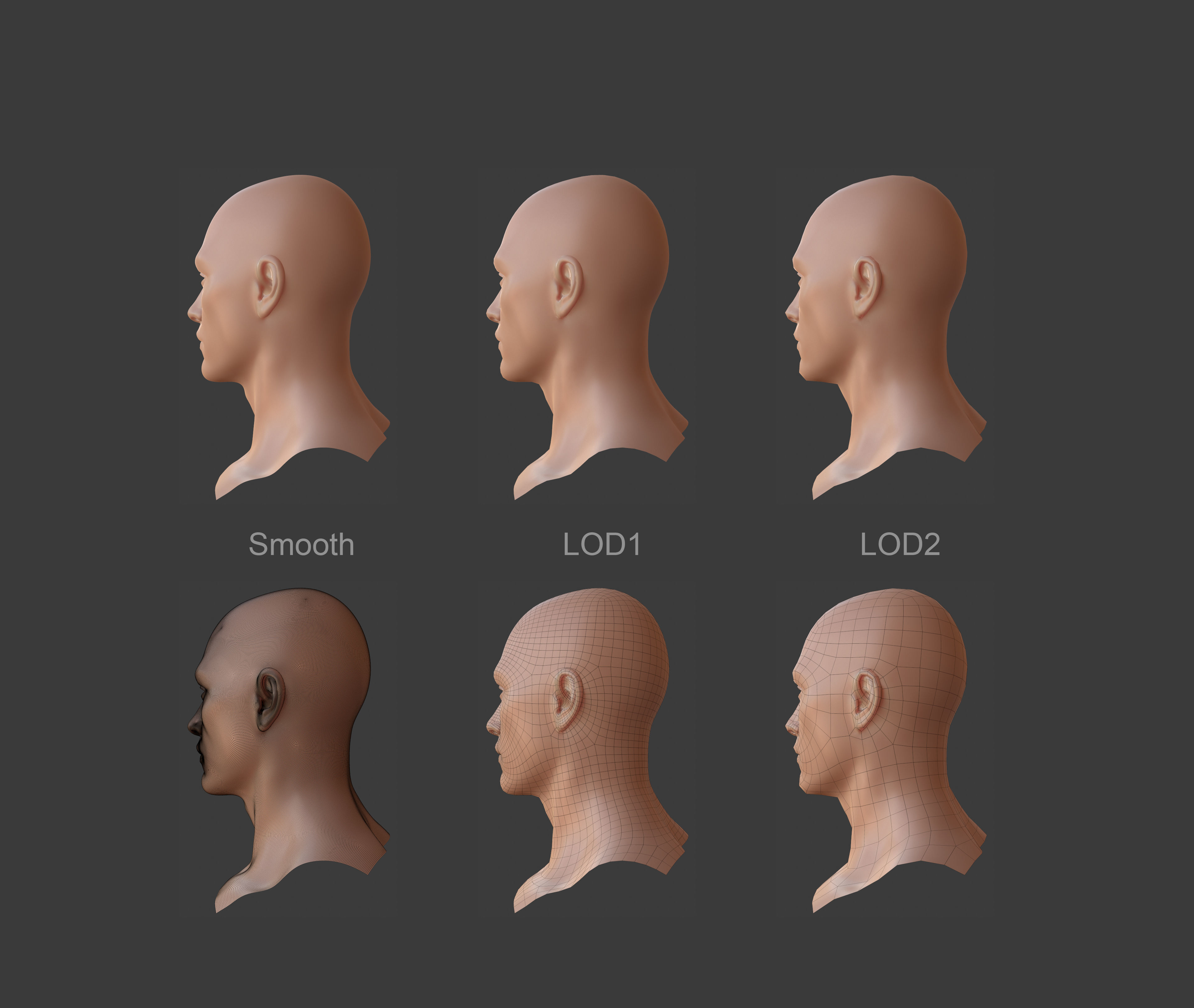 Character - Female Male Head Base Mesh Blendshape Low-poly 3D model_13