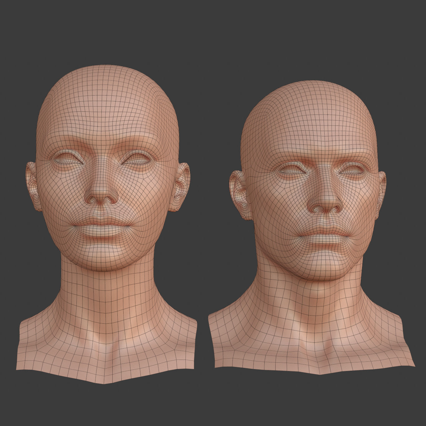 Character - Female Male Head Base Mesh Blendshape Low-poly 3D model_4